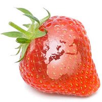Strawberry World(@s_world) 's Twitter Profile Photo