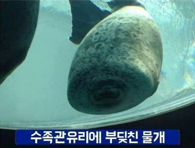 넋さんのプロフィール画像