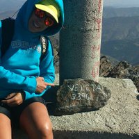 Zahra Massarwah (@zahramassarwah) 's Twitter Profile