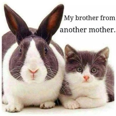 geronimomarch's profile picture. 