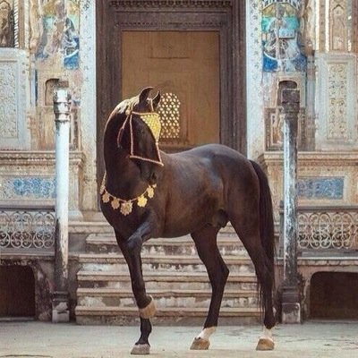 انبسط الحياه حلوه معاك .