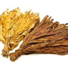 Bulk Tobacco from Albania for Sale