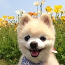 花粉症