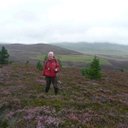 Andrew Forde - @anforde - Twitter