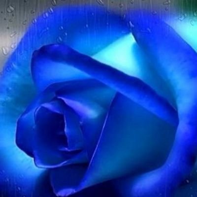‏‏‏‏‏‏‏‏‏‏‏‏‏إحَمدُ الله ، فَغِيركَ أكَبرُ أحَلآمَه ; مَآ تَملكُ أنتَ ♥:) ! ‏‏‏‏‏