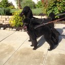 Ray Richey - @raycrichey - Twitter