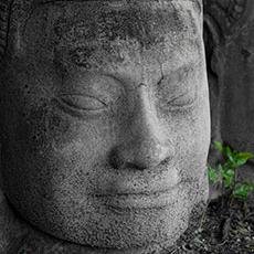 angkorphoto's profile picture. Angkor Photography Tours in the temples of Angkor in Cambodia. Learn new skills and explore the temples of Angkor. Based in Siem Reap