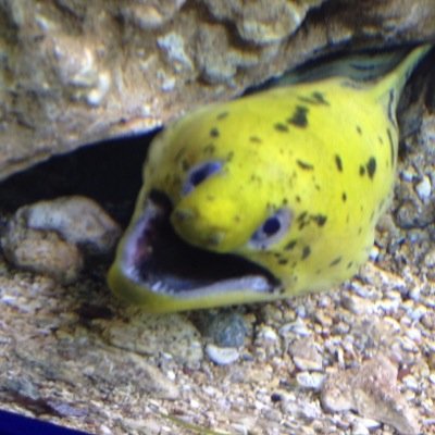 nat_na0102fe's profile picture. FUTURE, sustainable, equitable for ALL in PEACE!