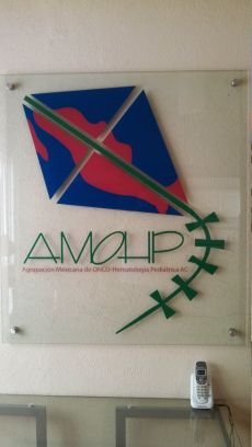 Agrupación Mexicana de ONCO-Hematología Pediátrica