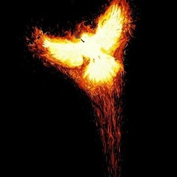 انسان يحب كل ماهو جديد في الحياة