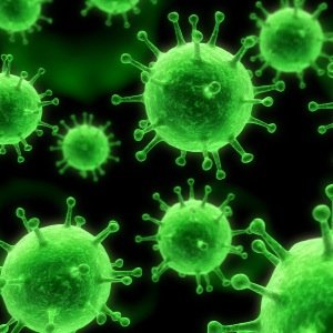 I am an bacteria and im on ur stuff