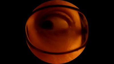 auroraboreal_'s profile picture. The Walking Dead Fanatic,Animal Lover,Childfree.