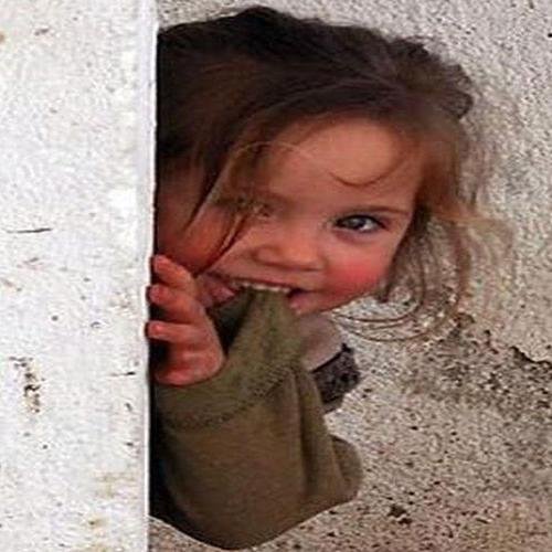 siashams's profile picture. Looking for a world with love, freedom and equal human rights.
Earth