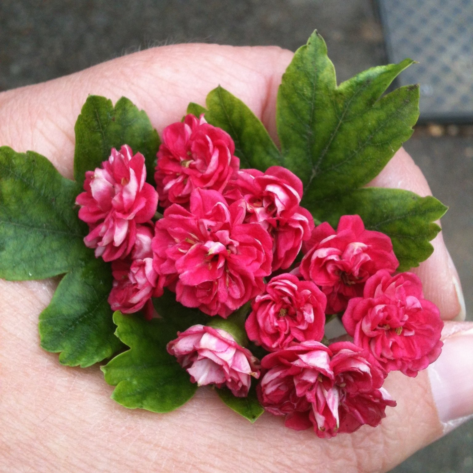 hmjfa2014's profile picture. Handmade Jewellery for Auction