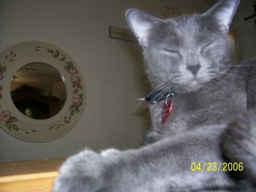 traceybizndex's profile picture. How is your business?