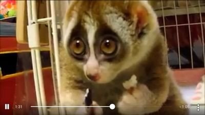 MayhemAuraz's profile picture. Free agent looking for a clan with over 5k thanks (: