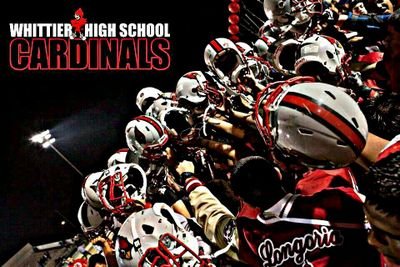 Shock the Nation! Cardinal Pride