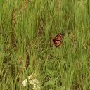 Kris Schroeder - @kschroeds2112 - Twitter