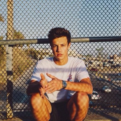 I love the JANOSKIANS,and many more people Camerondallas is perfect and i also love him so much too would do anything for him to follow me or meet him omg xx