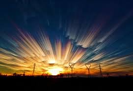 gueriris's profile picture. Gur Riris