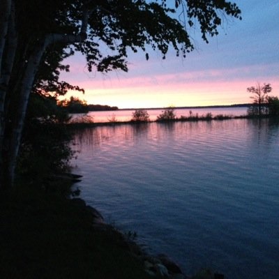 bluestarohio's profile picture. 