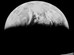 vikelaja's profile picture. Vikel Nih