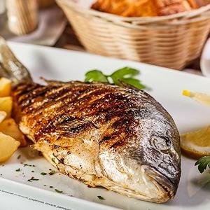 balikyt's profile picture. Balık Yemekleri