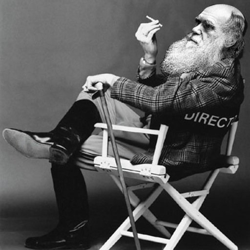 MLPietrobon's profile picture. Director, Cinematographer,
Raconteur, Class Clown.