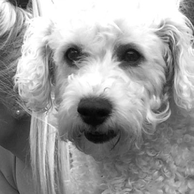 gorerachel7's profile picture. 