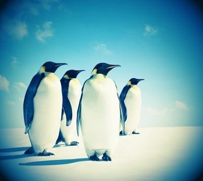 KirwanGillian's profile picture. 