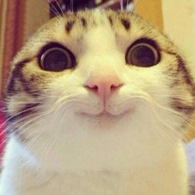 ♥️♥️Follow @Danich_Girl because she gave you a free follow - Ask for a follow back! ♥️♥️
