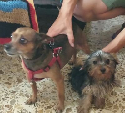 nonocamacho's profile picture. me gusta conocer gente hablar mucho relacionarme con muchisima gente amigo de mis amigos cariñoso y buena gente