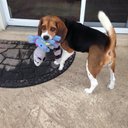 Debbie Fenner - @DebbieDsnash - Twitter