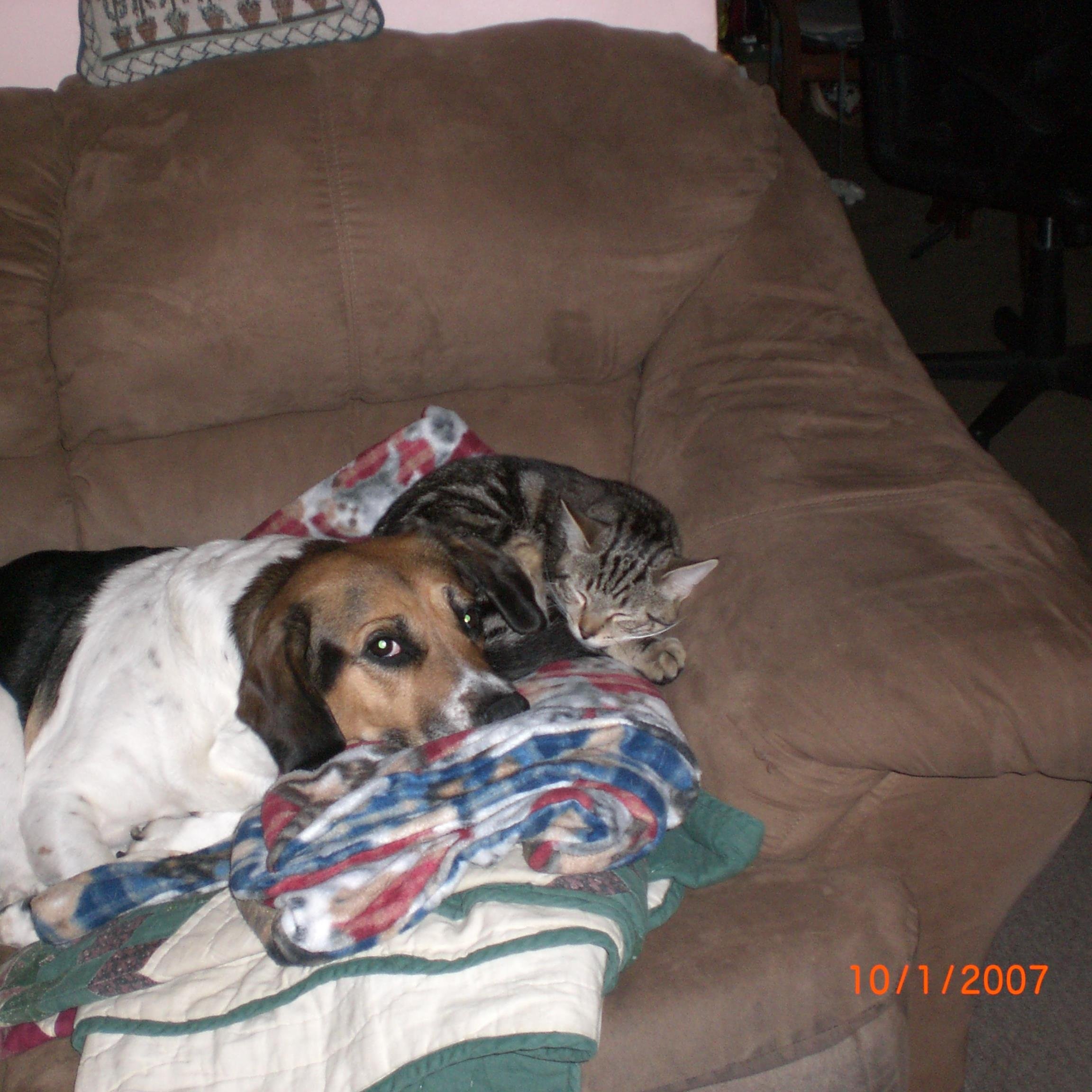 Dealing with life on my own now..my soul-mate has become my guardian angel.