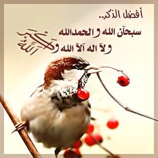 ااااا
