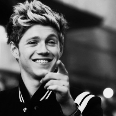 Hi I'm Niall Horan. I'm in a band called One Direction. I like food and smiling.