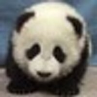 knotty panda ✡️(@KnottyPanda) 's Twitter Profileg