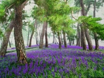 bjn12140's profile picture. 