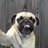alberto_minas's profile image