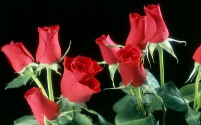 سبحان الله وبحمده