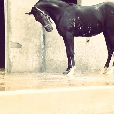 Mubarak1x's profile picture. مُحِب فْعل ألخير | خبير في آمن الحسابات | لآ أجدتهاد بلا جد |