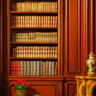 The Invisible Library limits its holdings to books that only exist within other books. Librarians are @tharealedpark and @levistahl.