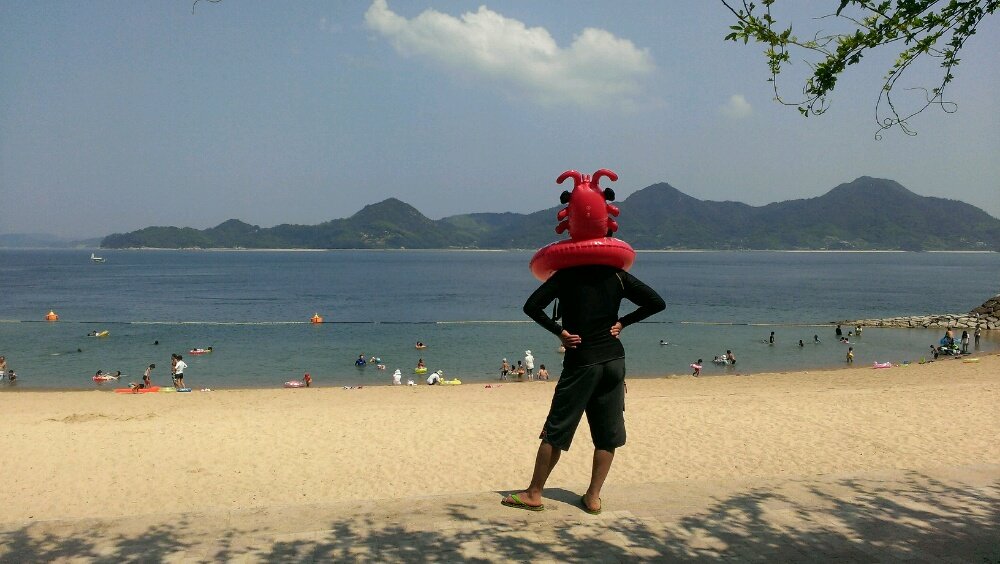 六路木陸斎さんのプロフィール画像