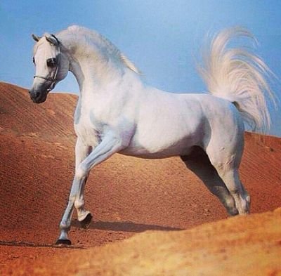 ‏‏#شاعرة
#مفضلتي مرجعي