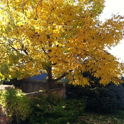 LMinuk's profile picture. 