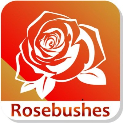 “A complete stranger got $3M, but I got the rose bushes!” Rainman (1988)