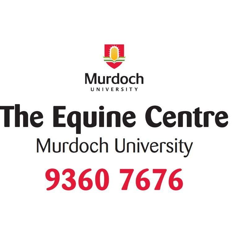 murdochequine's profile picture. First opinion, emergency and referral veterinary services for horses/ponies throughout Western Australia