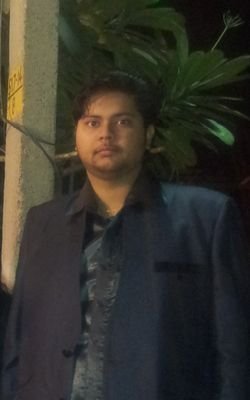 The Real Estate Consultant