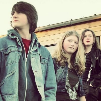 therealLlama3's profile picture. We're a band: @LaurenMcHendo & @Damondobell & @ChiliSkittle we do our own stuff mainly but we also cover people including Arctic Monkeys and Jack White