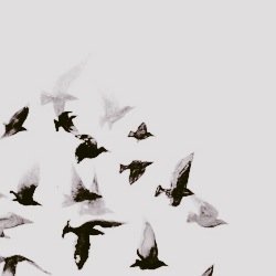 All of these celebrities in one place? Drama is bound to happen.. | RP | Descriptive | Taken roles in favorites |